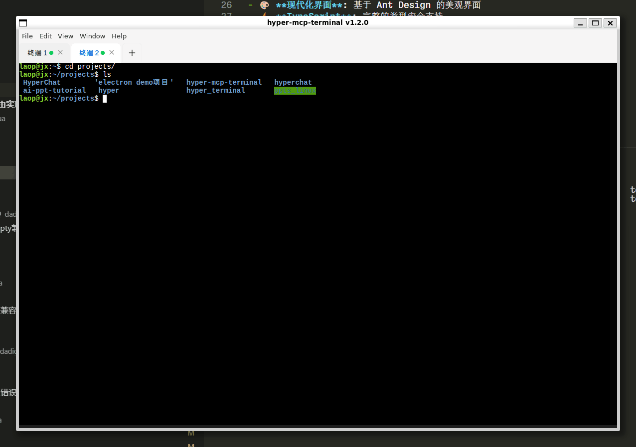 Hyper MCP Terminal settings and configuration panel